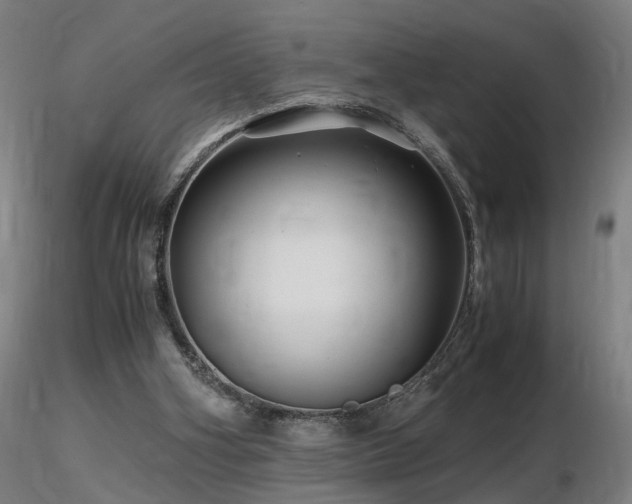 X0000116800106200912181327