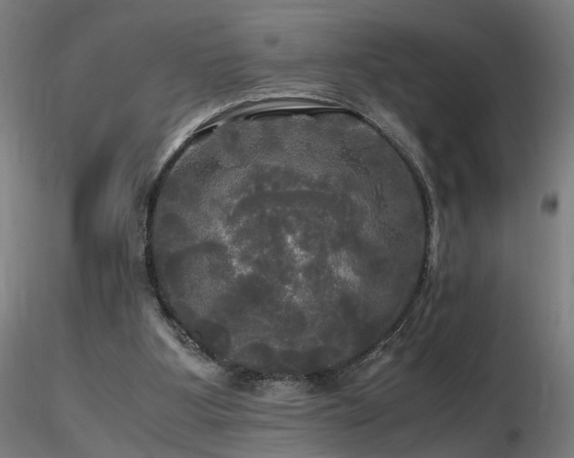 X0000116800107200912181327