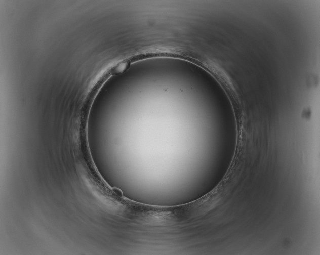 X0000116800108200912181327