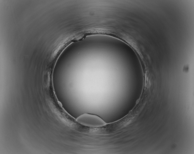 X0000116800109200912181327