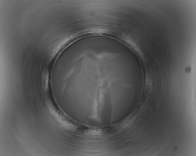 X0000116800110200912181327