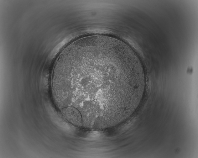 X0000116800111200912181327