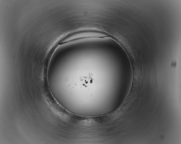 X0000116800112200912181327