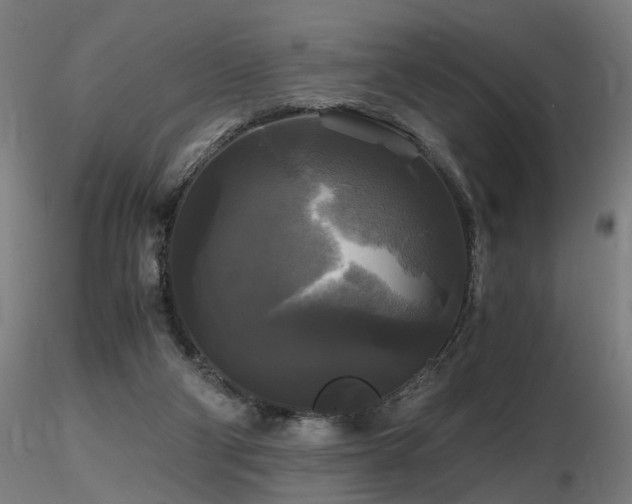 X0000116800114200912181327