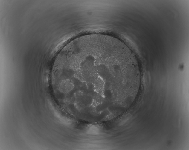 X0000116800115200912181327