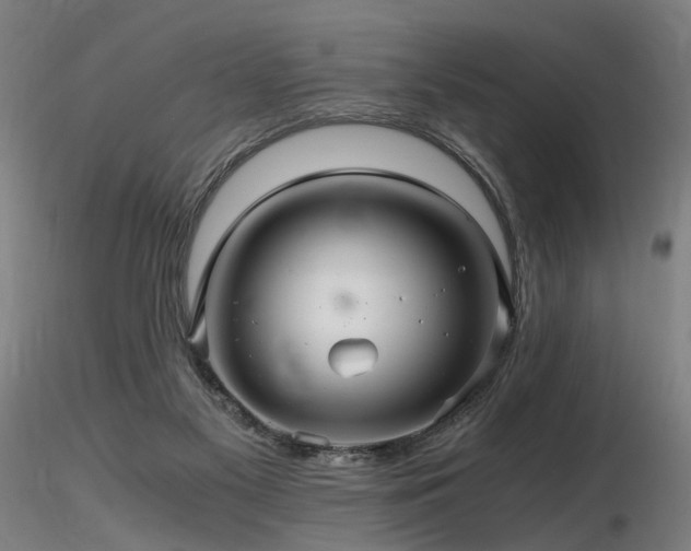 X0000116800117200912181327