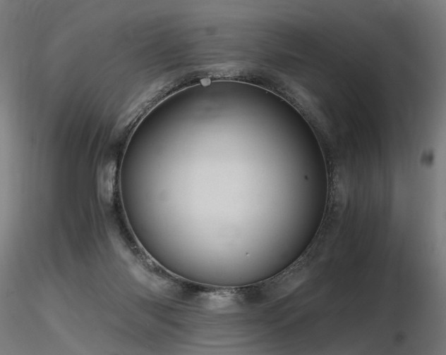 X0000116800118200912181327