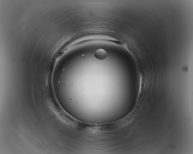 X0000116800120200912181327