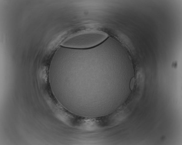 X0000116800121200912181327