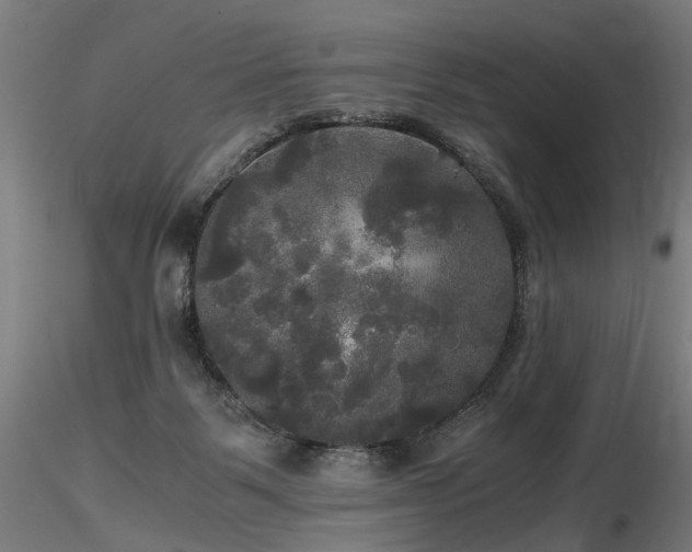 X0000116800123200912181327