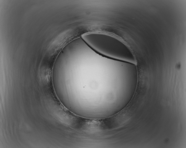 X0000116800125200912181326