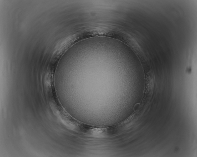 X0000116800126200912181326