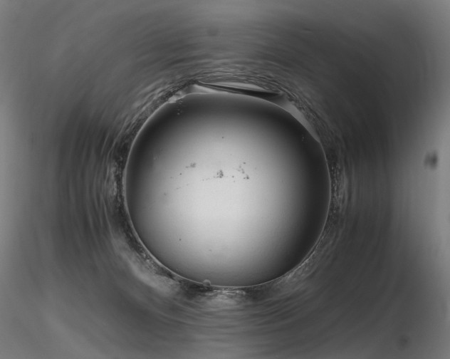 X0000116800128200912181326