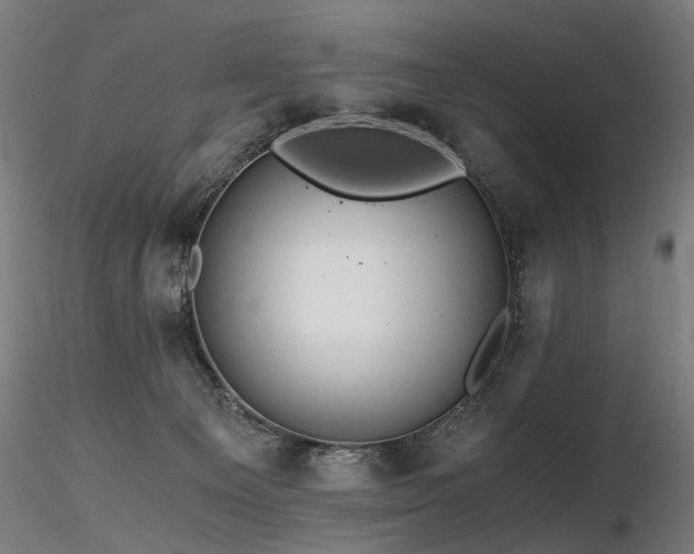 X0000116800129200912181326