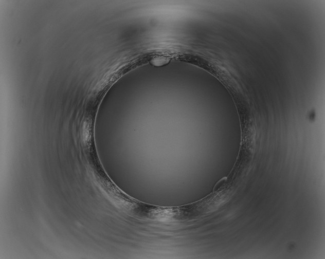 X0000116800131200912181326