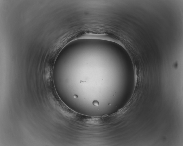 X0000116800132200912181326