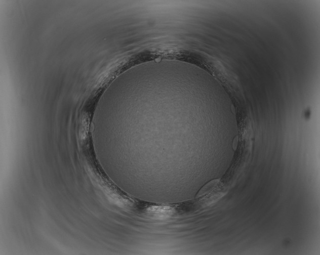 X0000116800133200912181326