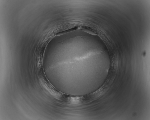 X0000116800134200912181326