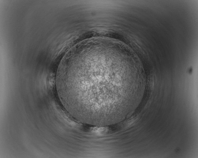 X0000116800135200912181326