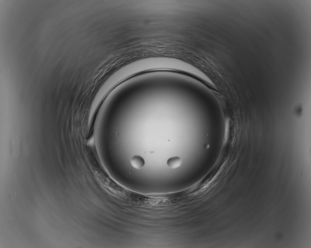 X0000116800136200912181326