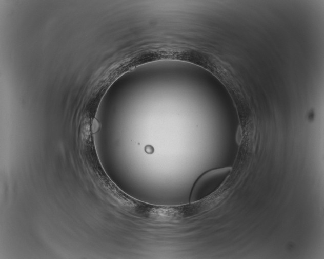 X0000116800137200912181326