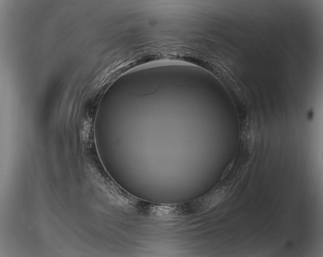 X0000116800139200912181326