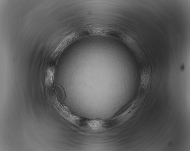 X0000116800142200912181326