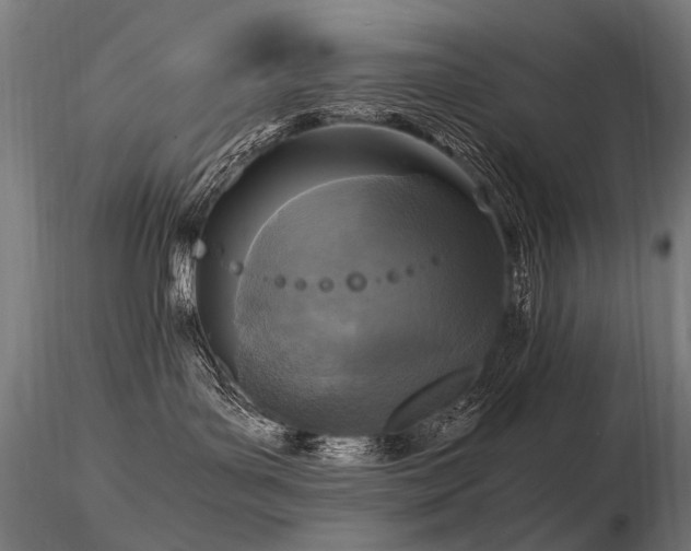 X0000116800143200912181326