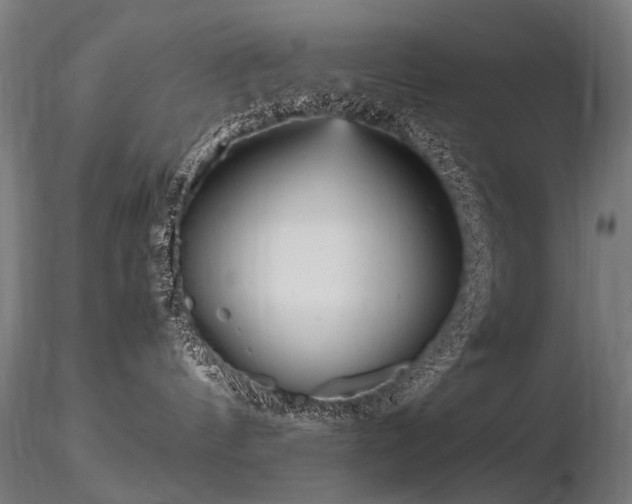 X0000116800144200912181326