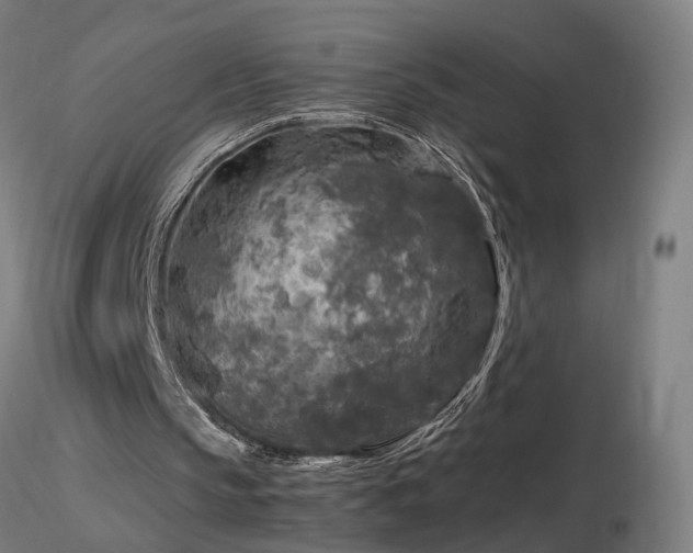 X0000116800145200912181326