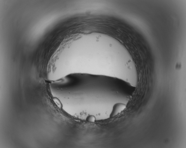 X0000116800146200912181326