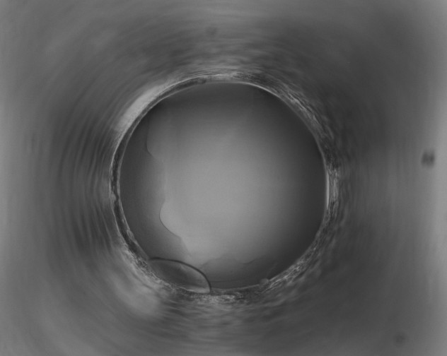 X0000116800147200912181326