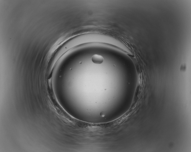 X0000116800150200912181326