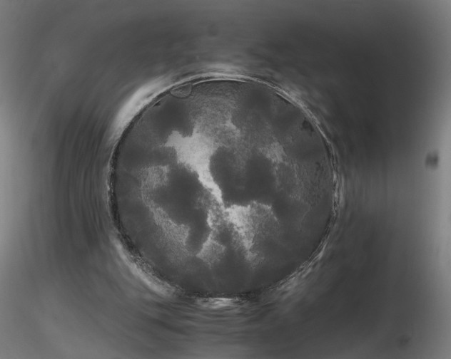 X0000116800151200912181326