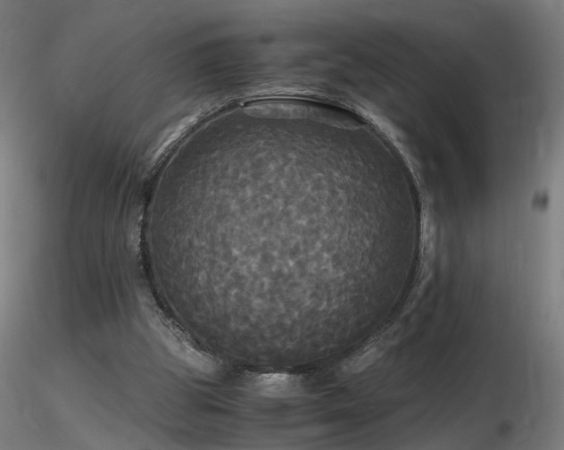 X0000116800153200912181326