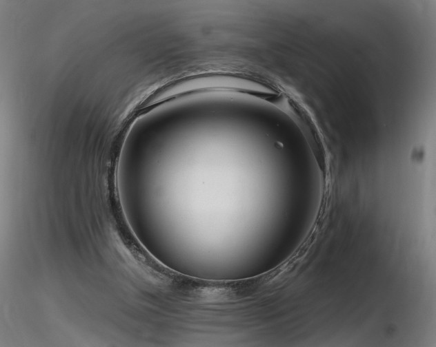 X0000116800154200912181326