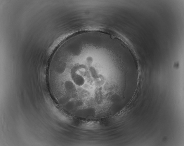 X0000116800155200912181326