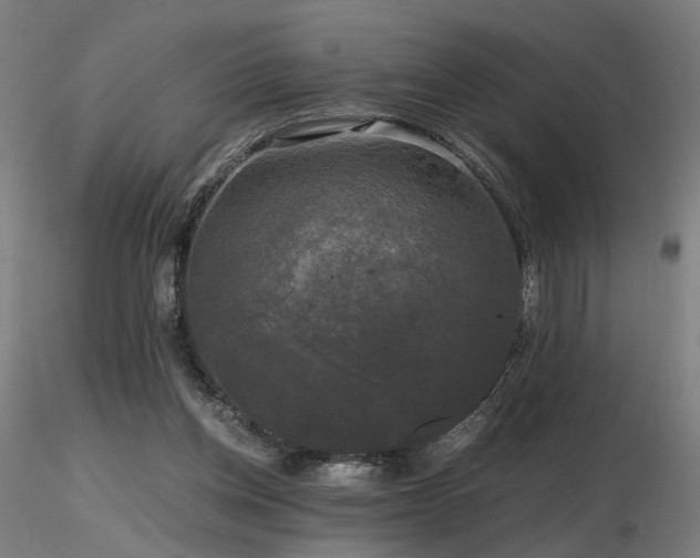 X0000116800158200912181326