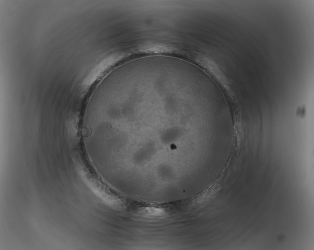 X0000116800159200912181326