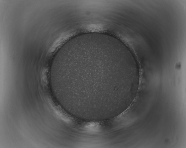 X0000116800162200912181326