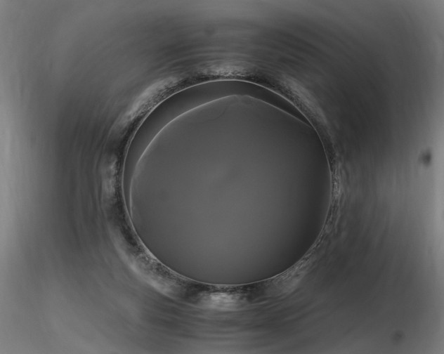 X0000116800163200912181326