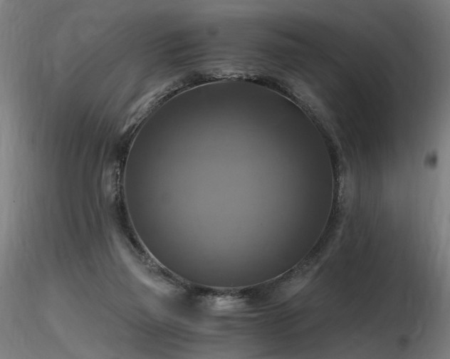 X0000116800165200912181326