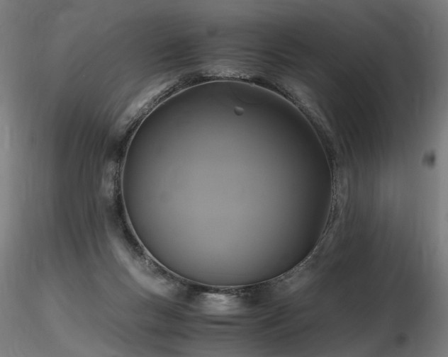 X0000116800167200912181326