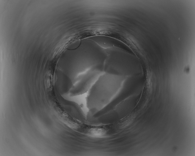 X0000116800169200912181326