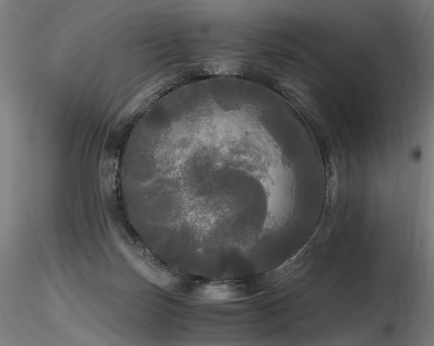 X0000116800171200912181326