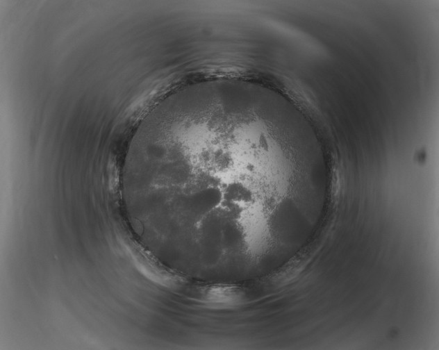 X0000116800173200912181326