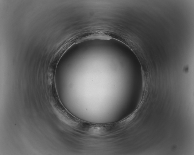 X0000116800174200912181326