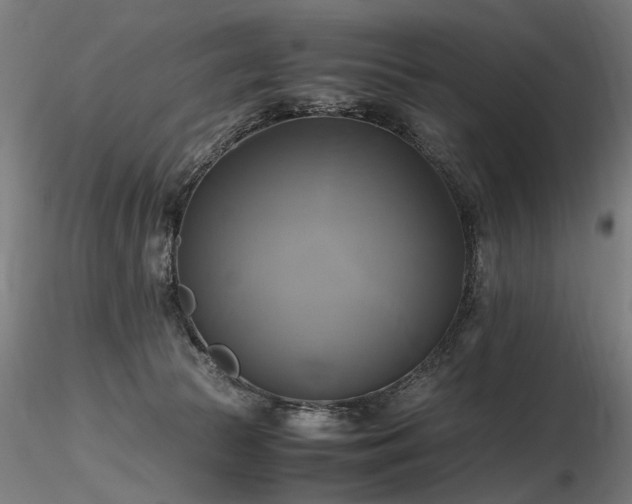 X0000116800177200912181326