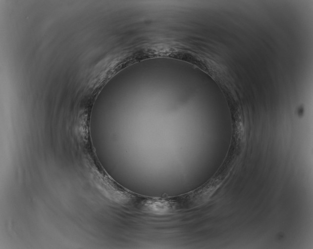 X0000116800181200912181326