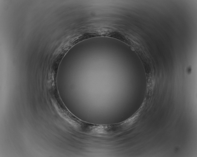 X0000116800182200912181326